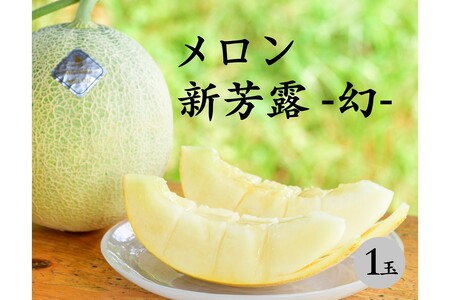 [先行予約] 年間生産量200玉の最上級メロン「新芳露-幻-」(2025年7月下旬〜発送)