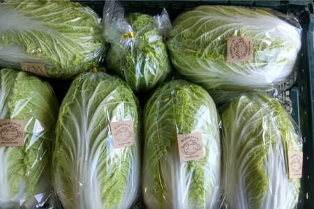 [先行予約]京丹後冬鍋野菜セット(2025年11月中旬〜発送)