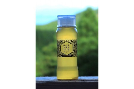 京都 生はちみつ 「京丹後 山頂のはちみつ」 750g（250g×3）　【国産　非加熱 】　ハチミツ　蜂蜜 ハニー】