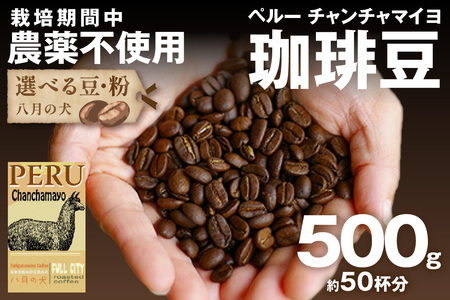 [栽培期間中農薬不使用]自家焙煎コーヒー豆 ペルー チャンチャマイヨ 500g(250g×2) 約50杯分 小分け 豆・粉 選べる