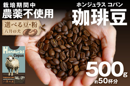 [栽培期間中農薬不使用]自家焙煎コーヒー豆 ホンジュラス コパン 500g(250g×2) 約50杯分 小分け 豆・粉 選べる