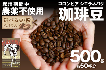 [栽培期間中農薬不使用]自家焙煎コーヒー豆 コロンビア シエラネバダ 500g(250g×2) 約50杯分 小分け 豆・粉 選べる