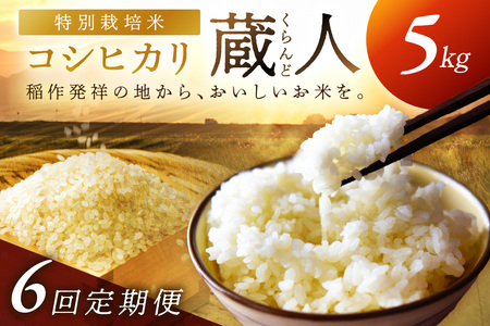 �y�����6��z�ߘa8�N�Y ���ʍ͔|�ăR�V�q�J�� ���l�i�����ǁj ����5kg