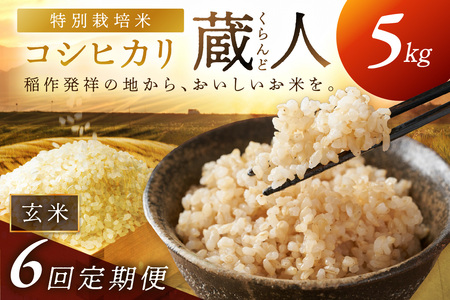 �y�����6��z�ߘa8�N�Y ���ʍ͔|�ăR�V�q�J�� ���l�i�����ǁj ����5kg