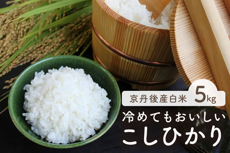 �ߘa7�N�Y�@���s�E���O��Y�R�V�q�J���@5�s�i5kg×1�܁j