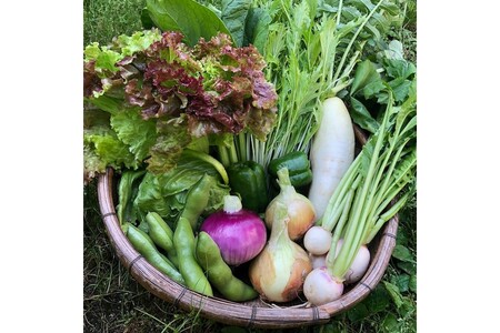 [先行予約:5月配送][てんとうむしばたけ]初夏のオーガニック野菜セット 有機野菜6〜7種前後