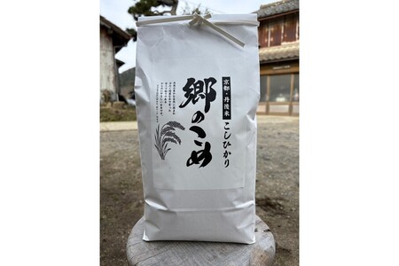 京都・網野郷産 特別栽培米コシヒカリ 精米10kg