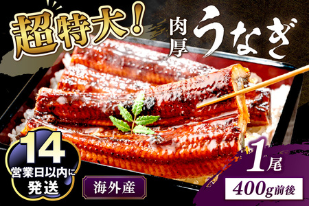 [14営業日以内発送]超特大!ふっくら肉厚!うなぎ蒲焼 1尾 400g前後 [鰻の蒲焼き ウナギのかば焼き 超特大うなぎのかばやき 肉厚うなぎのカバヤキ スタミナ 土用の丑の日うなぎ 小分けうなぎ 温めるだけ 簡単 レンジ調理]