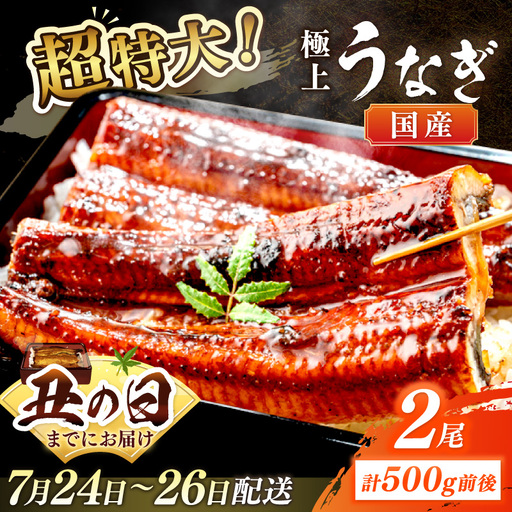 【7月24～26日配送】超特大！極上！国産うなぎ蒲焼 2尾 合計500g前後 ふるさと納税 鰻 九州産 国産 ウナギ 有頭 蒲焼き うな丼 うな重 うなぎ 国産