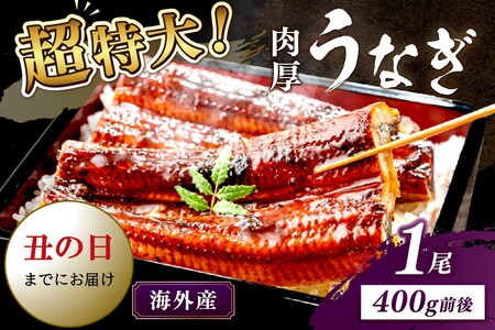 [7月30日〜8月1日配送]超特大!ふっくら肉厚!うなぎ蒲焼 1尾 400g前後