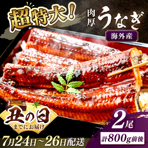 【7月24～26日配送】超特大！ふっくら肉厚！うなぎ蒲焼 2尾 合計800g前後 ふるさと納税 鰻 外国産 ウナギ 肉厚 蒲焼 鰻の蒲焼 有頭 蒲焼き