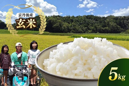 京都 丹後産コシヒカリ(玄米5kg)農家直送 こしひかり