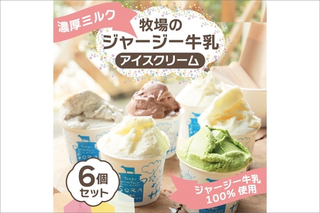 京都・京丹後おすすめアイス3種定期便