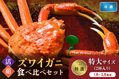 [蟹の匠 魚政] [京丹後産 特撰]ズワイガニ 食べ比べセット[活×茹]特大サイズ2杯入り (2026年1月〜3月発送)