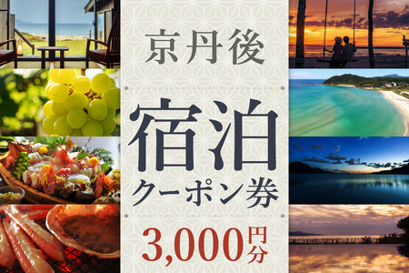 [京丹後市観光公社]京丹後宿泊クーポン 3,000円券×1枚