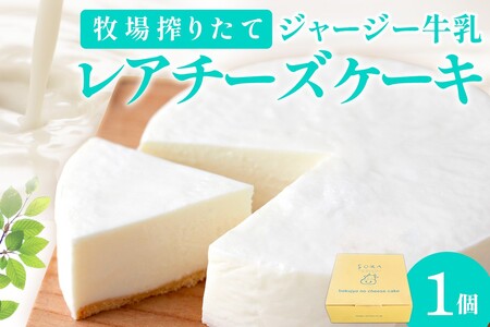牧場のチーズケーキ(生)1個 レアチーズケーキ 生チーズケーキ 冷凍チーズケーキ 手造りチーズケーキ ホールケーキ