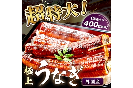 [定期便 毎月×3回]超特大!ふっくら肉厚!うなぎ蒲焼 1尾 400g前後