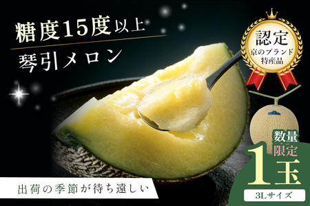 [先行予約]京たんごメロン 琴引メロン 3Lサイズ 1玉(2026年6月下旬〜発送)