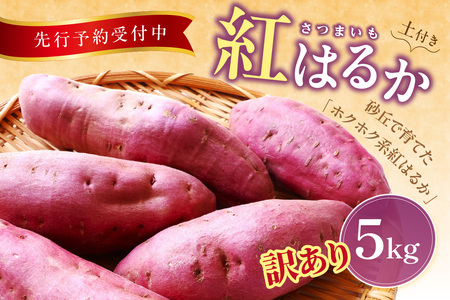 ys\^ʌ100z󂠂 OY yt g͂邩i܂j 5kgi2025N11{`j ƒpiDiEEʁE卞݁j