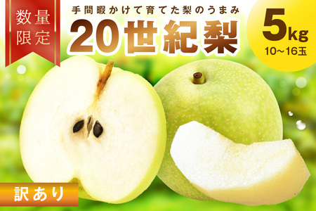 ys\^ʌ100z󂠂 I 5kgi2026N9{`j
