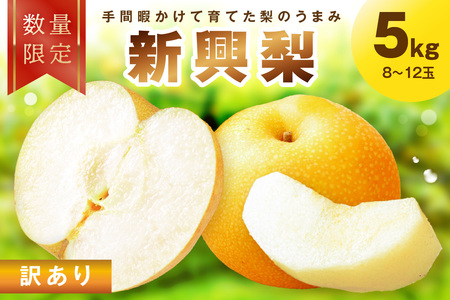 ys\^ʌ100z󂠂 V@5kgi2026N10{`j