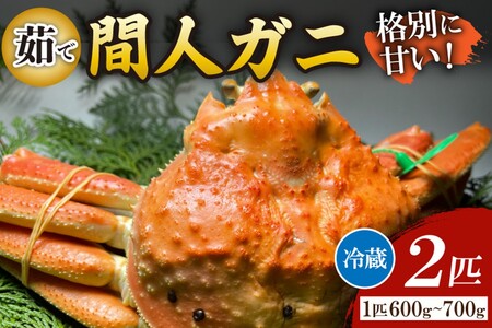Ԑl`l̊ۗFNOځE̊ԐlKj䥂Ł[ 1C 600`700g×2C]