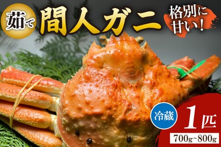 Ԑl`l̊ۗFNOځE̊ԐlKj䥂Ł[1C 700`800g]