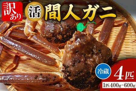 間人漁港仲買人の丸友鮮魚三代目・自慢の間人ガニ[活]生・訳アリ・間人ガニ(ズワイガニ 松葉ガニ)[400〜600g×4匹]