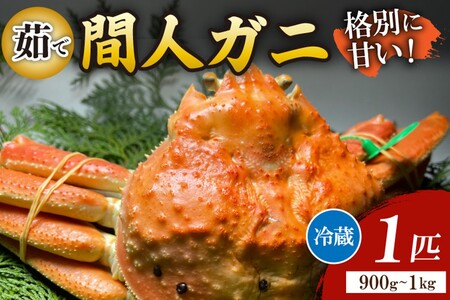 Ԑl`l̊ۗFNOځE̊ԐlKj䥂Ł[1C 900~1kg]