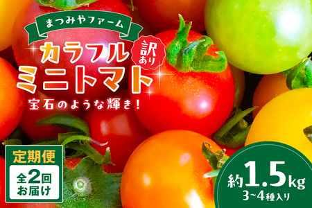 [2回定期便]京丹後産 訳あり 宝石のような輝き!カラフルミニトマト(2026年5月下旬〜発送)