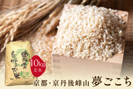 2025�N�Y ���s�E���O���R ���ʍ͔|�Ė������� 10kg �y���āz