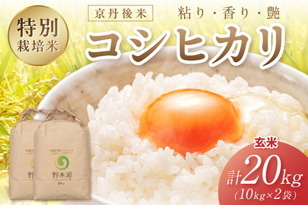 2025NY O ʍ͔|ăRVqJ 20kgiāj