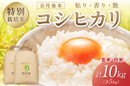 2025年産 京丹後米 特別栽培米コシヒカリ 玄米・白米 各5kg