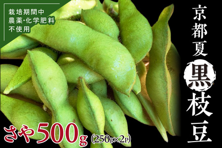 [先行予約/数量限定40]京都夏黒枝豆さや 500g(250g×2パック)(2026年7月中旬〜発送)