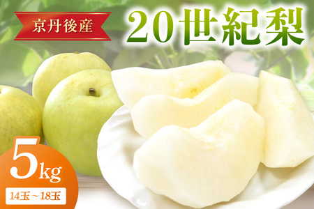 ys\^ʌ150z20I 5kgi2026N9{`j