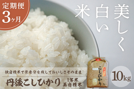 �y�����3��z�ߘa7�N�Y �������� �O�ケ���Ђ��� 10kg×3���� 1����