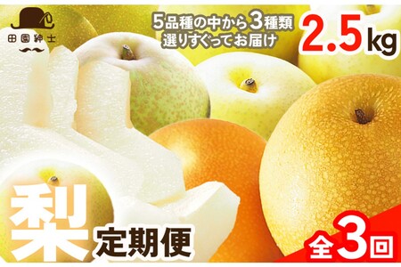 camIuD̂߂̒3vi3iie4?6ʁj×3j