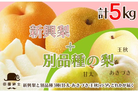 camIuD̂߂̗ZbgvVƂ1ǐv2iZbg