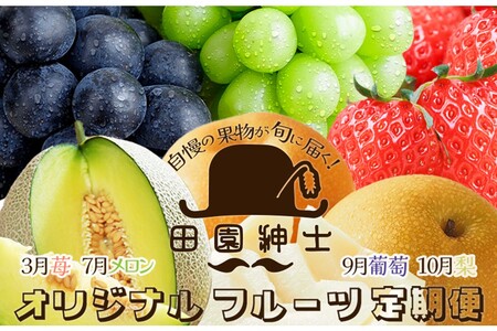 田園紳士厳選 オリジナルフルーツ定期便4回[イチゴ、メロン、黒葡萄、シャインマスカット、梨]