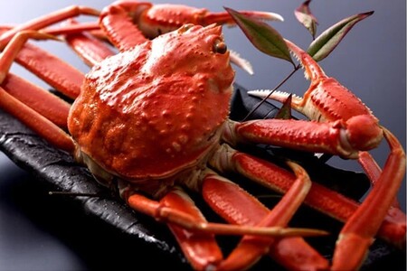 �y���I�z䥂ŏ��t�I L(600g�O��)×2�t�@��1���`2�����͂�