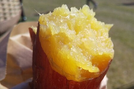 冷凍焼き芋 紅はるか(京都産) 3本入 個包装真空パック 個包装真空パック ふるさと納税 焼き芋 冷凍 ふるさと納税 さつまいも 紅はるか さつまいも 薩摩芋 焼き芋 ヤキイモ