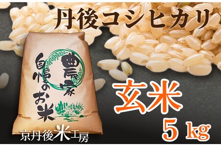 コシヒカリ令和7年 丹後コシヒカリ 5kg 玄米