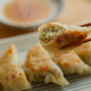 京丹後 ぎょぎょうざ 12個入 2袋冷凍品/日本海山陰産の沖ギスを使用した魚餃子です・うみのうた