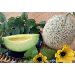 [先行予約]京丹後・俵野産 砂丘メロン 2L以上 1玉(2026年7月下旬〜発送)