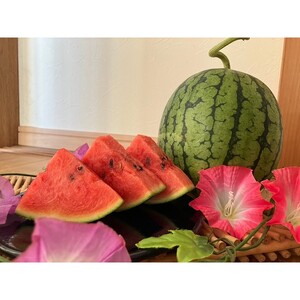 [先行予約]京丹後・俵野産 小玉スイカ 姫甘泉 1玉(2026年7月中旬〜発送)