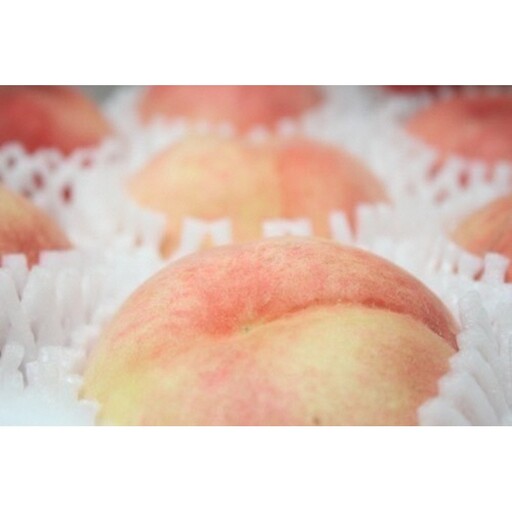 ブレンドファーム厳選!京丹後おススメフルーツ定期便3種(桃、シャインマスカット、新興梨) 桃 シャインマスカット 新興梨 フルーツ 定期便 おすすめ