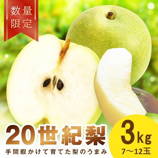 [先行予約/数量限定100]廿世紀梨 3kg(2026年9月上旬〜発送) フルーツ くだもの 国産 梨 二十世紀 20世紀 廿世紀 ふるさと 納税 梨 ふるさと納税 フルーツ ふるさと 納税 20世紀梨