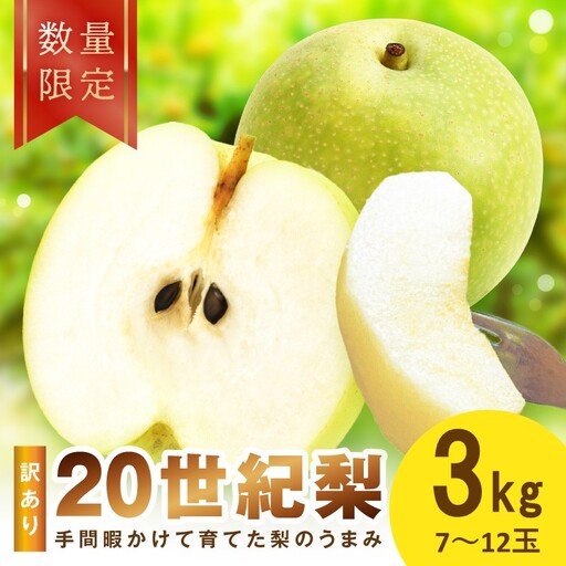 [先行予約/数量限定100]訳あり 廿世紀梨 3kg(2026年9月上旬〜発送)フルーツ くだもの 国産 梨 二十世紀 20世紀 廿世紀 ふるさと 納税 梨 ふるさと納税 フルーツ ふるさと 納税 20世紀梨 わけあり ワケアリ 訳有り