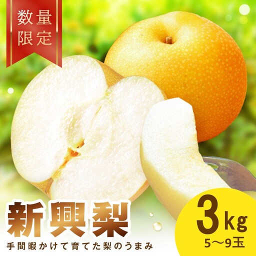 [先行予約/数量限定100]新興梨 3kg(2026年10月中旬〜発送)ふるさと納税 フルーツ くだもの 国産 梨 新興梨 先行予約 ふるさと納税 梨