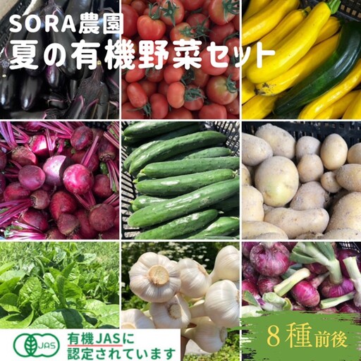 SORA農園 有機野菜 夏野菜セット おまかせ8種類前後 オーガニック野菜 詰合せ